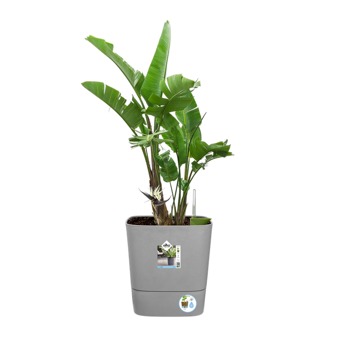 greensense aqua care vierkant 38cm licht beton